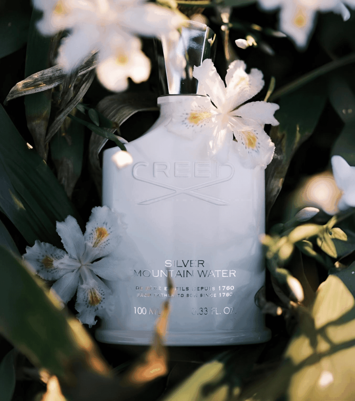 Créed Silver Mountain Water Men's Cologne Spray - Citrus, Fruity & Woody Scent - Long-Lasting Fresh Fragrance