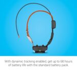 Garmin Alpha TT 25 GPS Dog Tracking and Training Collar