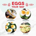 Rapid Egg Cooker