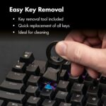 Scorpion V1 Wired Mechanical Gaming Keyboard - USB-A W/USB-C Connection Adaptor â€“ Tactile & Clicky â€“ Brilliant RGB Lighting Customizable Keys & Multimedia Function 104 Keys