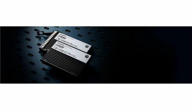 Kingston SEDC3000ME/15T3 DC3000ME 15.36 TB Solid State Drive - 2.5" Internal - U.2 (PCI Express NVMe 5.0 x4) - Server, Data Center Device Supported