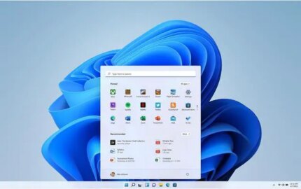 Microsoft Windows 11 Home (USB)