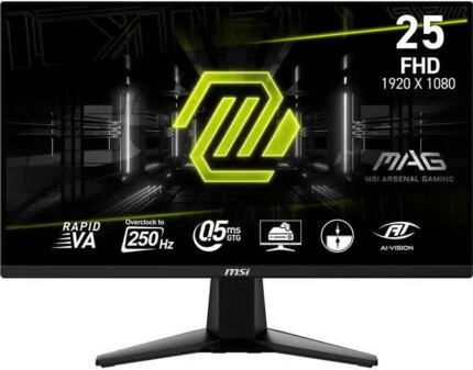MSI 25" 250 Hz Rapid VA FHD Gaming Monitor MAG255XFV