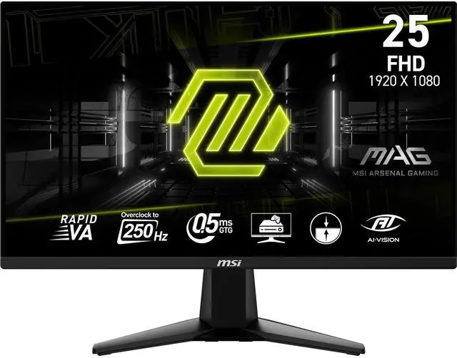 MSI 25" 250 Hz Rapid VA FHD Gaming Monitor MAG255XFV