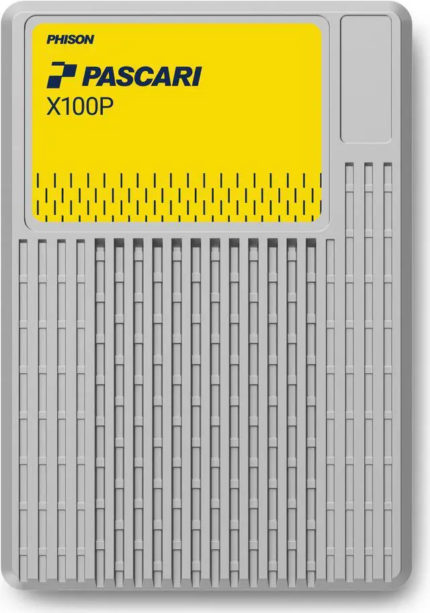 Pascari X100P U.2 1.92TB PCI-Express 4.0 Single Port Solid State Disk Enterprise - XP106H011T92P022T0400 - Newegg.com