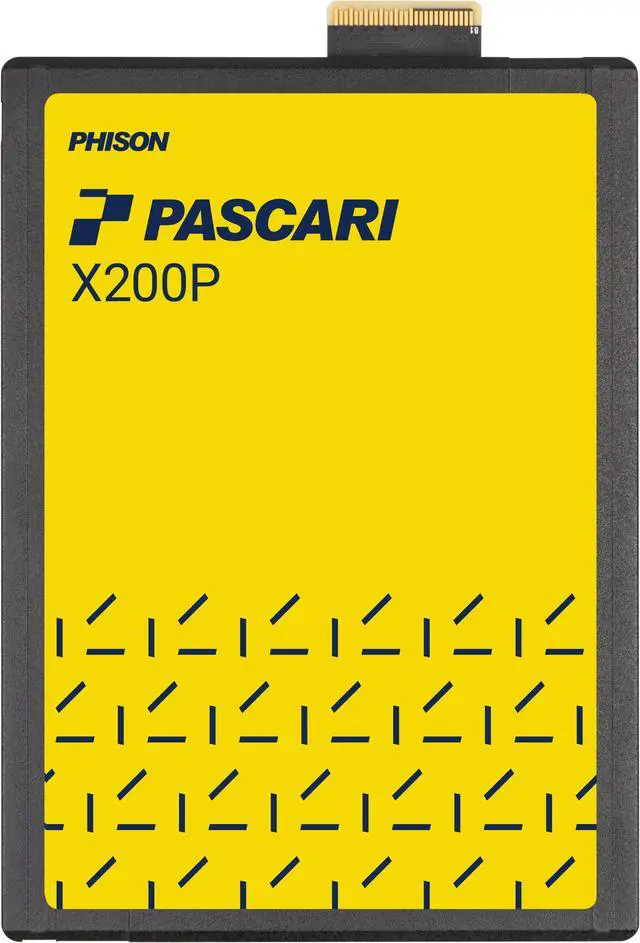 Pascari X200P E3.S 3.84TB PCI-Express 5.0 Single Port Solid State Disk Enterprise - XP20DH033T84P314T0910 - Newegg.com