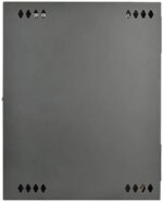 Tripp Lite 15U Wall-Mount Rack Enclosure Cabinet, Hinged Back, Switch-Depth (SRW15US)