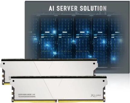 V-Color DDR5 96GB (48GBx2) 6000MHz CL30 2Rx8 OC ECC UNBUFFERED DIMM 1.4V (Overclocking ECC UDIMM) Memory Ram for Server (TE548G60D830SKK)